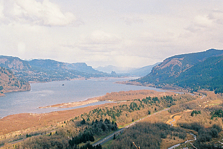 [A look upstream of the wide Columbia river with its sections of low lands and high walls beside the edges of the waterway. A cloud overhead has put some of the low lands in shadow while the rest is in full sun.]